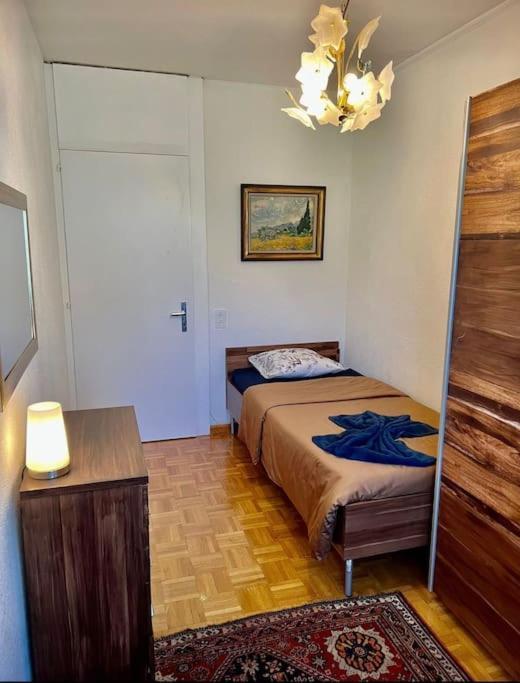 Appartement 7,0 Pieces 3 Chambres Proximite Aeroport Genf Kültér fotó